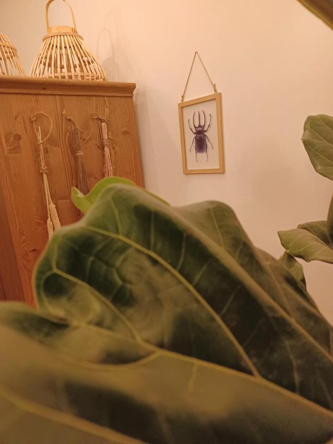 Apartament 75M2 Indoor Glamping Scheveningen Haga Zewnętrze zdjęcie